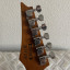 Ibanez GRG220 transparent brown black