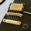 Tokai LC 230S Black Beauty