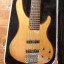 Washburn Bantam XB600