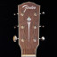 Fender Paramount PM-2 Parlor All Mahogany