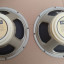 2 Celestion Creamback  Made in England .. G12M-65