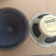 2 Celestion Creamback  Made in England .. G12M-65