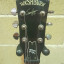 Washburn RR100 Red Rocker (Rare Sammy Hagar Signature Series) 1997