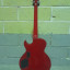 Washburn RR100 Red Rocker (Rare Sammy Hagar Signature Series) 1997