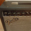 Fender Champion 110