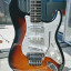 Fender Stratocaster Dave Murray MIM