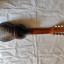 charango armadillo