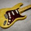 Fender stratocaster ri69 japan