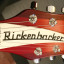 Rickenbacker 330 FG - Cambios en el anuncio