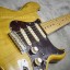 Fender stratocaster ri69 japan