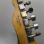 Fender Telecaster Standard Mex IMPOLUTA