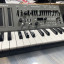 Roland SH 01A + Teclado K-25m