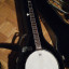 Cambio banjo epiphone 250