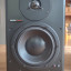 Monitores Dynaudio BM6A (los caros) pareja