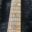 Guitarra PRs custom 24