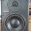 Monitores Dynaudio BM6A (los caros) pareja