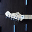 Fender Stratocaster MIM Standard