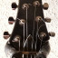 Guitarra Eléctrica LTD F-350