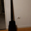 Vendo bajo Steinberger Spirit 5 cuerdas