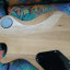 PRS SE Zach Myers MB