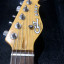 Guitarra G&L Asat tribute