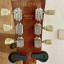 Gibson Les Paul Special P-100