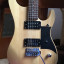 Washburn Nuno Bettencourt