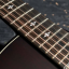 Taylor Builder's Edition 324ce