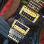 PRS SE Custom 24 Floyd Rose
