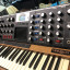 Moog Voyager XL