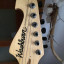 Washburn Nuno Bettencourt