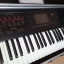 Roland Fa 07