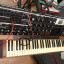 Moog Voyager XL