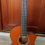 Guitarra clásica Alhambra 5P CW con previo Fishman