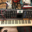 Moog Voyager XL