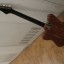 Proyecto guitarra vintage Hofner D-21 por proyecto strat