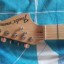 Vendo Fender Billy Corgan Signature