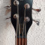 Warwick Streamer Std - Made in Germany