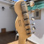 Fender American Performer Telecaster MN VWT