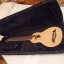 Guitarra acústica - Washburn Rover R010 Travel Guitar