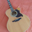 Takamine G Series