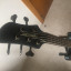 Bajo Fernandes Tremor 5 Deluxe y amplificador Galien Krueger MB50