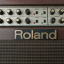 Roland Ac 100 Acoustic Chorus