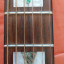 Takamine G Series