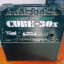 ROLAND CUBE 30 X CUSTOM
