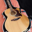 Takamine G Series