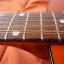 Guitarra Acústica de 12 cuerdas EKO Navajo-12 (70s)
