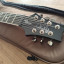 PRS SE Mark Holcomb (Vendida)