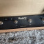 Positive Grid Spark Control pedal de control