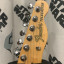 Fender Telecaster Thinline DeLuxe 3 TSB